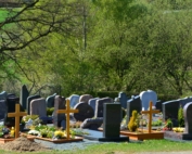 pomniki pojedyncze na cmentarz